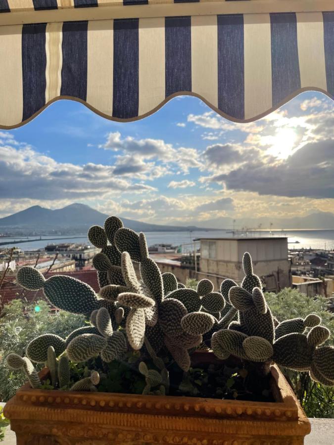 Alma De Templarsf - Stunning Design Home With Sea View And Terrace Naples Luaran gambar