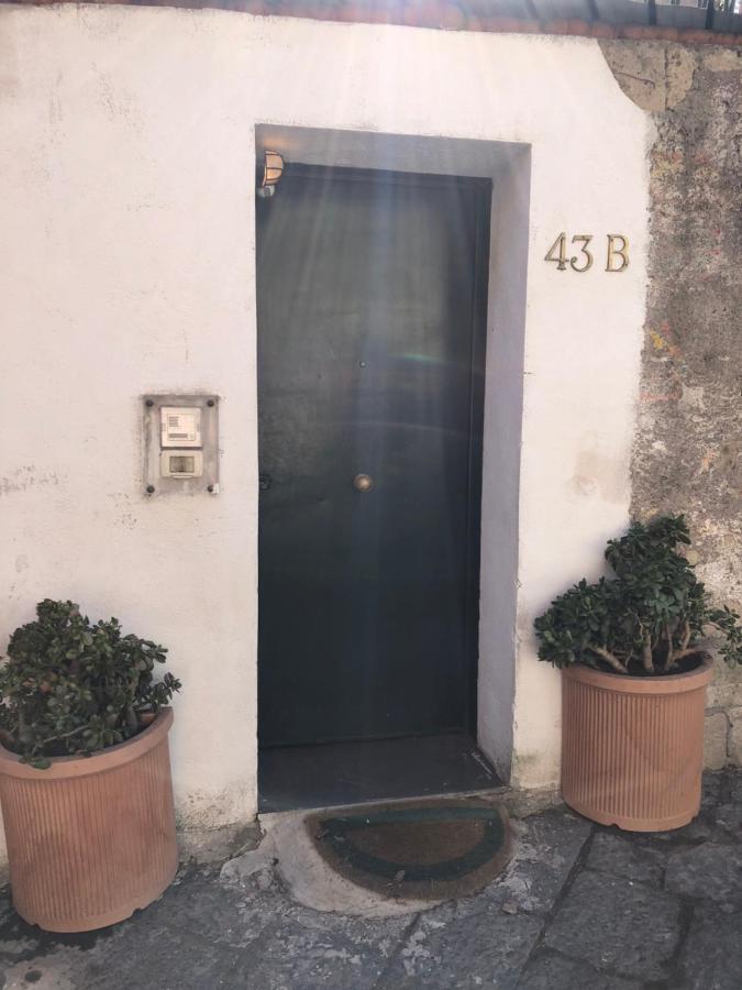 Alma De Templarsf - Stunning Design Home With Sea View And Terrace Naples Luaran gambar